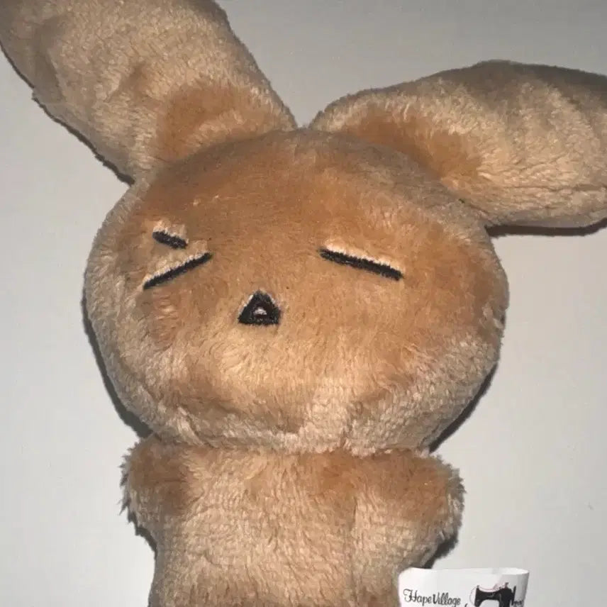 [BUNJANG] JUNTO X1Z Junhan Doll / 준툐 엑디즈 준한 인형 양도
