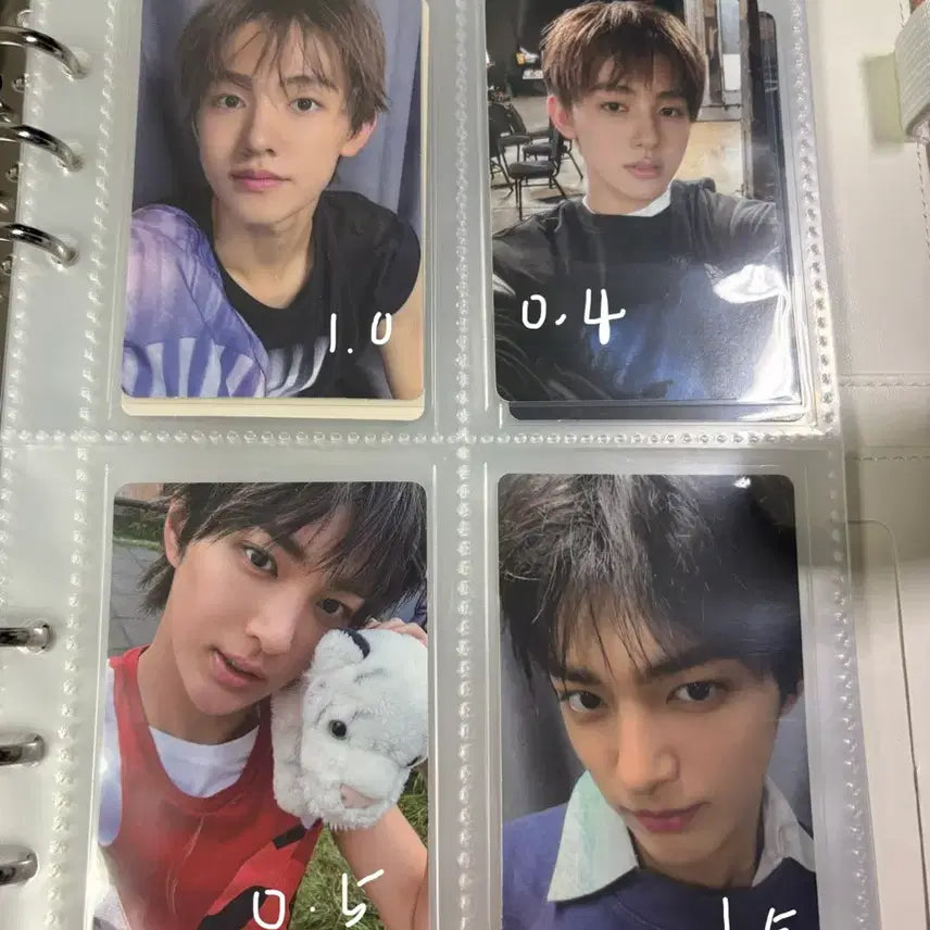 [SOLD OUT] 코르티스 포카판매