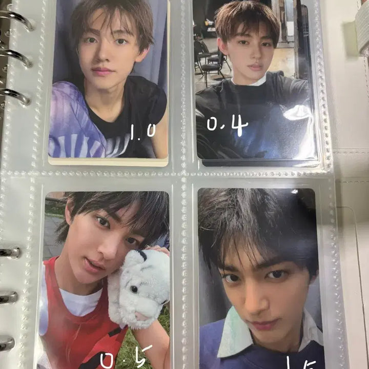 [SOLD OUT] 코르티스 포카판매