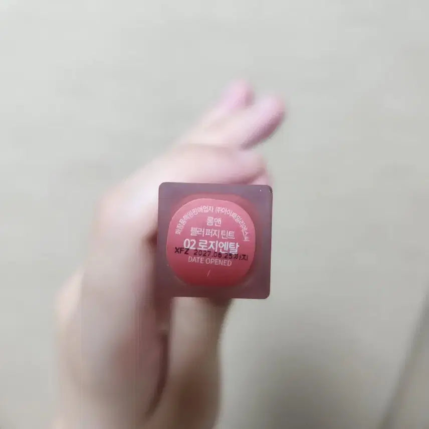 [BUNJANG] Rom&amp;nd Blur Fudge Tint 02 Rosy Ntal / 롬앤 블러 퍼지 틴트 02 로지엔탈
