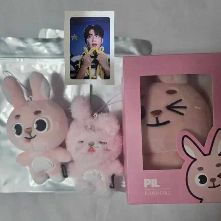 [BUNJANG] DAY6 Denimals Wink Pil-kk, Kul-kul, Merong Pil Bundle Set / 데이식스 데니멀즈 윙크 19 필끼 ,쿨쿨,메롱 필 일괄 양도 원필 솔콘