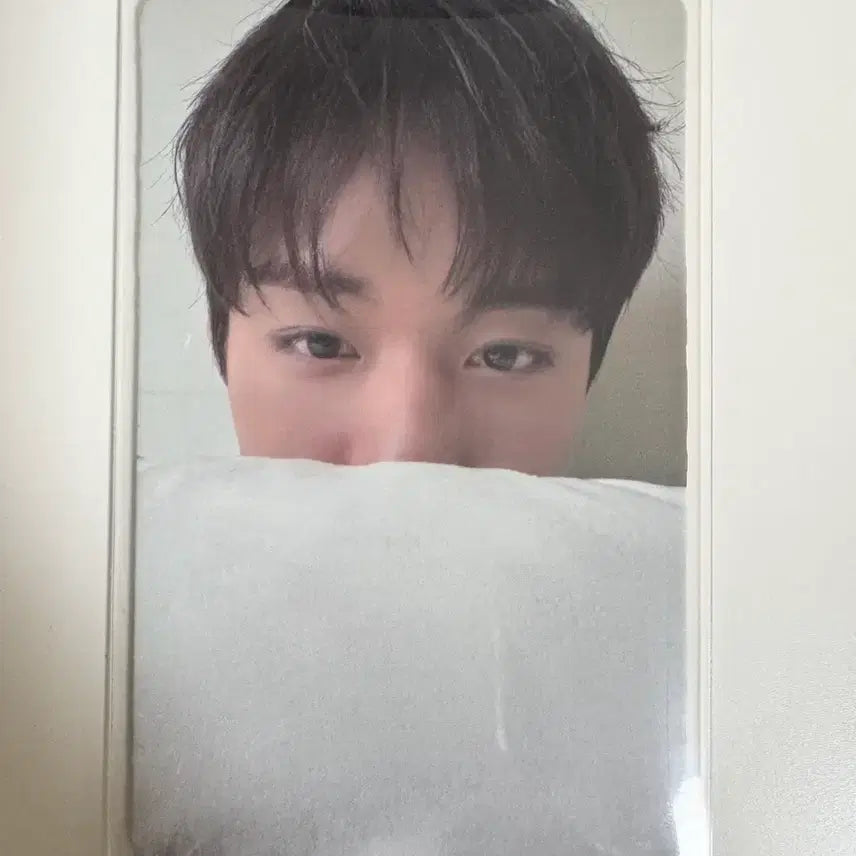 [SOLD OUT] 박지훈 시터 포카