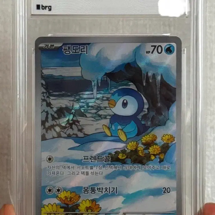 [BUNJANG] Pokemon Card Full Art Piplup AR BRG 10 GEM MT / 포켓몬카드  팽도리 ar 한판 brg10