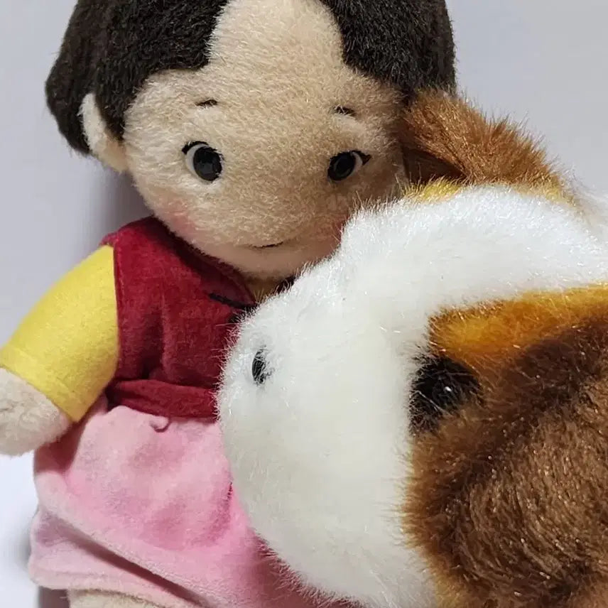 [BUNJANG] Heidi - World Masterpiece Theater Edition / 세계명작극장 하이디