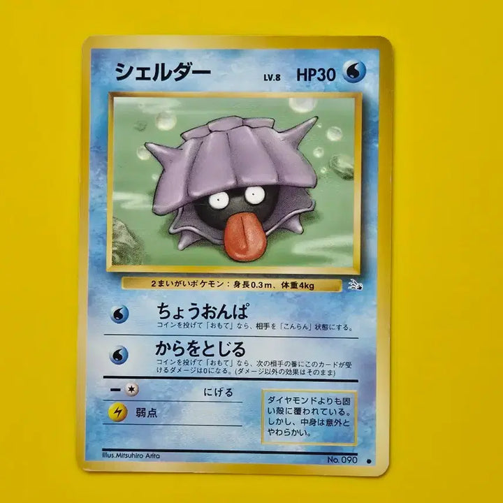 [BUNJANG] Pokemon Card Early Japanese Edition Seller Parsell Set / 포켓몬카드 셀러 파르셀 세트 초기 일본판 8