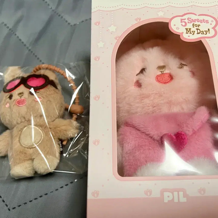 [BUNJANG] Day6 Petit Merz Voice Tanning Film Bundle Set / 택포) 데이식스 쁘띠멀즈 보이스 태닝 필 판매