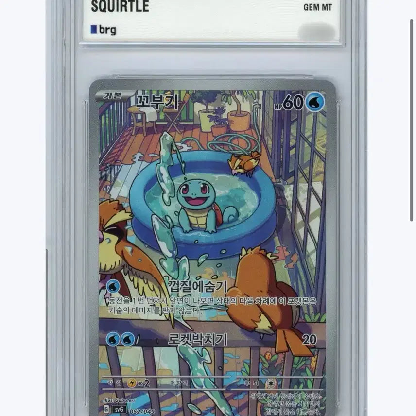 [BUNJANG] Pokemon BRG 10 Squirtle AR / 포켓몬 brg 10 꼬부기 ar