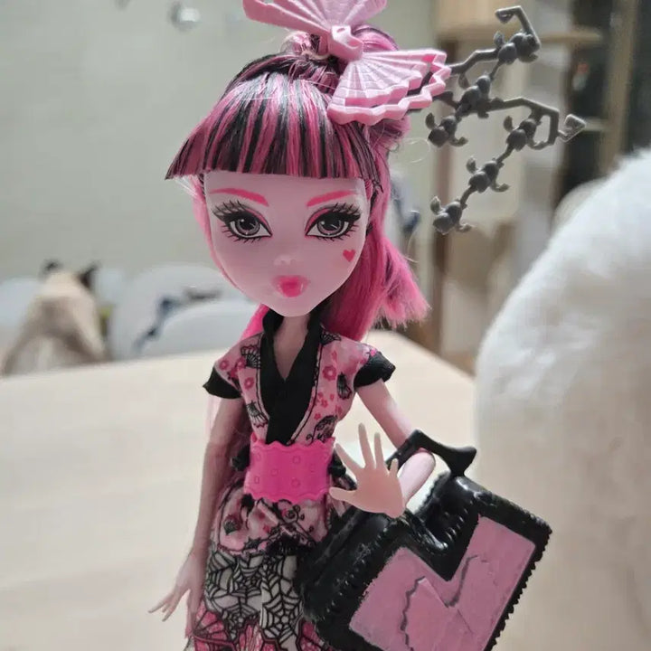 [BUNJANG] Monster High Draculaura Exchange Program Doll / 몬스터 하이 교환 프로그램 드라큘로라 몬하돌