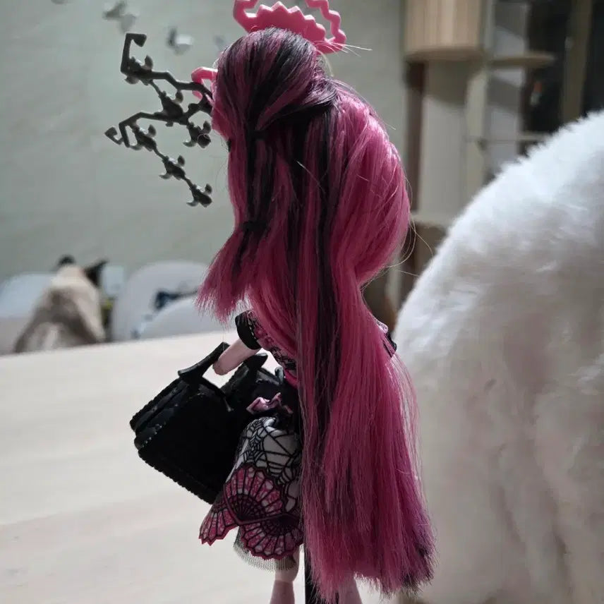 [BUNJANG] Monster High Draculaura Exchange Program Doll / 몬스터 하이 교환 프로그램 드라큘로라 몬하돌