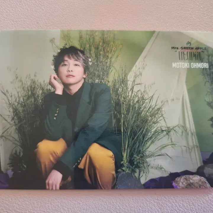 [BUNJANG] Mrs. Green Apple Omori Motoki Utopia Photocard / 미세스그린애플 오모리 모토키 유토피아 포카