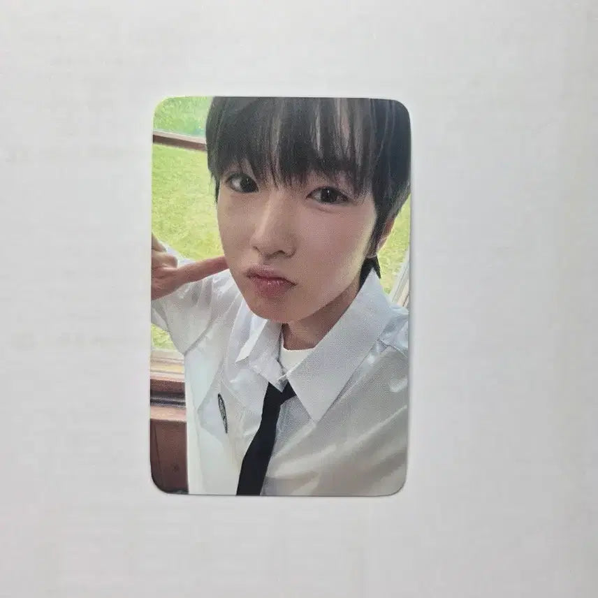 [BUNJANG] NCT WISH Sakuya Steady WITHMUU Lucky Draw Photocard / 엔시티위시 사쿠야 Steady 위드뮤 럭키드로우 포토카드 양도