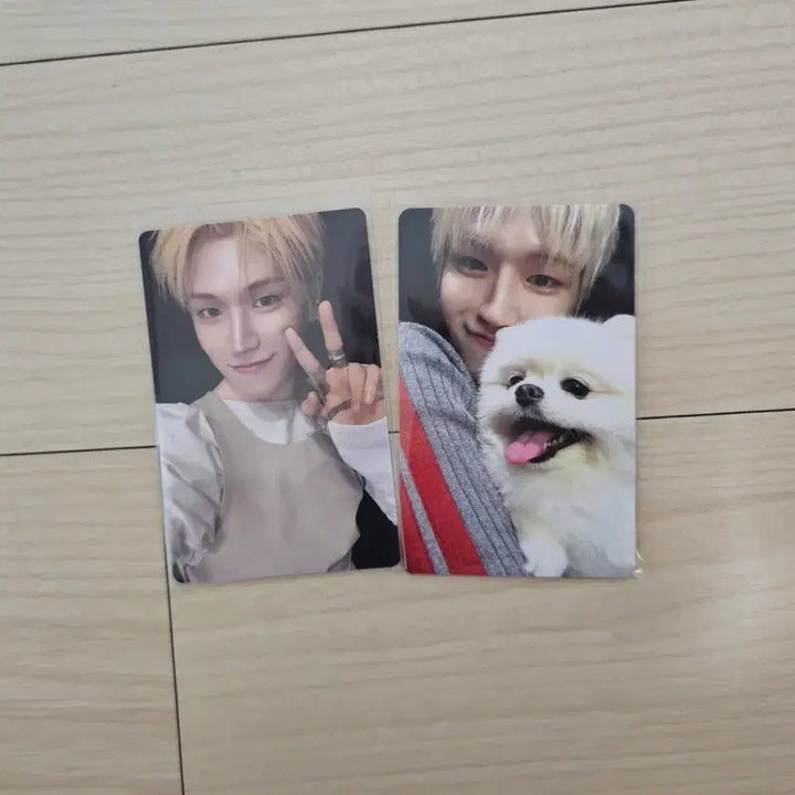 [BUNJANG] BOYNEXTDOOR Riwoo Home Album Weverse POB Photocard / 보이넥스트도어 홈 앨범 리우 앨범포카 위버스 특전포카