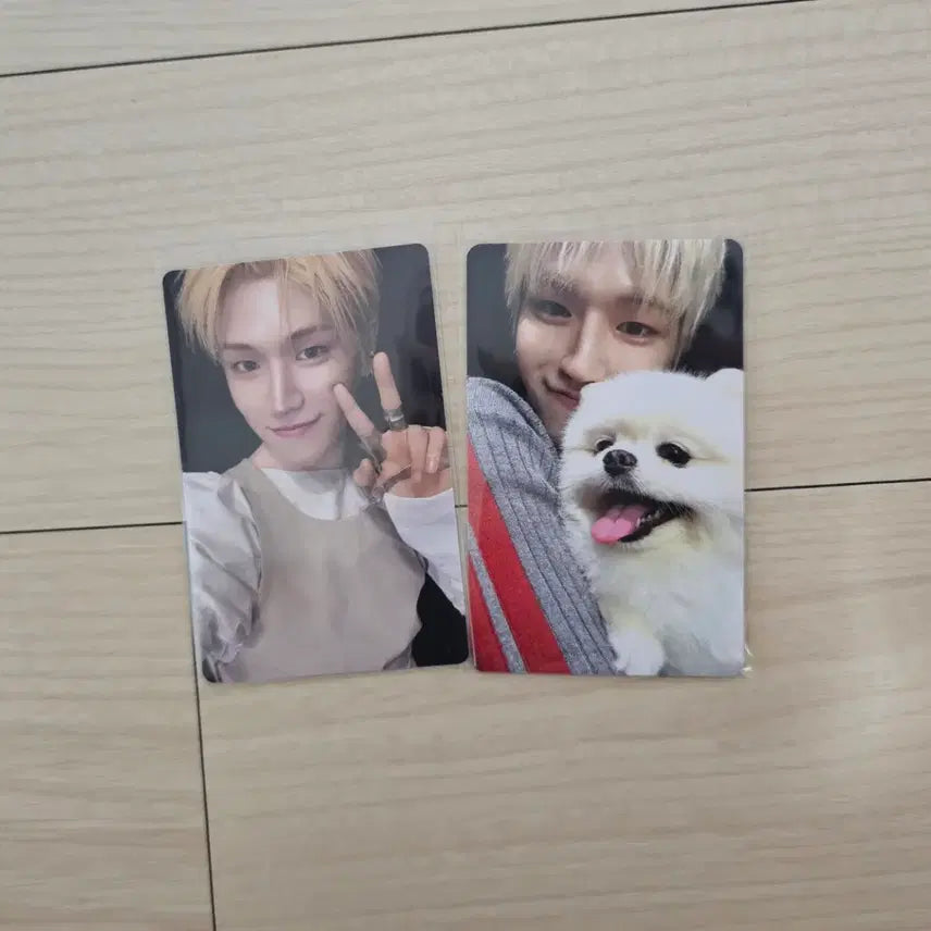 [BUNJANG] BOYNEXTDOOR Riwoo Home Album Weverse POB Photocard / 보이넥스트도어 홈 앨범 리우 앨범포카 위버스 특전포카