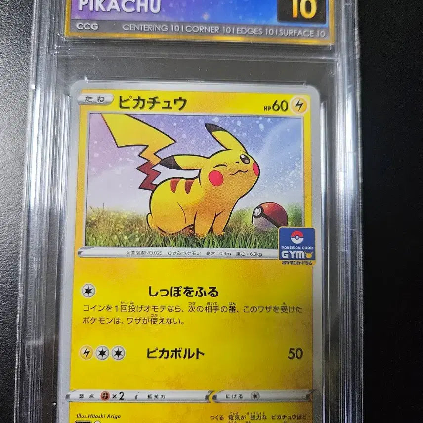 [BUNJANG] Pokemon Card Jim Promo 1st Edition Pikachu Promo CCG Pristine / 포켓몬카드 짐프로모 1탄 피카츄 프로모 ccg 프리스틴 팝니다