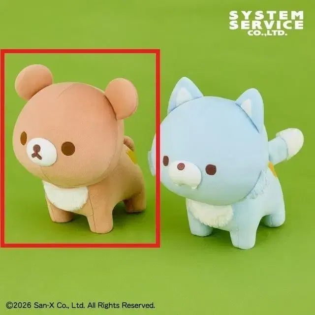 [SOLD OUT] 차이로이코구마 xl 대형 인형