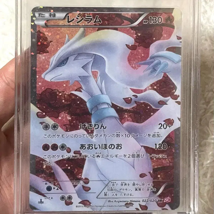 [BUNJANG] Reshiram Shiny Collection Japanese Edition / 레시라무 샤이니컬렉션 일어판