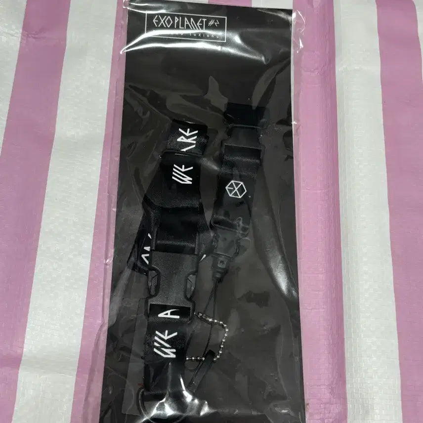 [BUNJANG] Baekhyun Nametag Set / 백현 네임택 세트