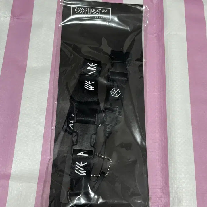 [BUNJANG] Baekhyun Nametag Set / 백현 네임택 세트