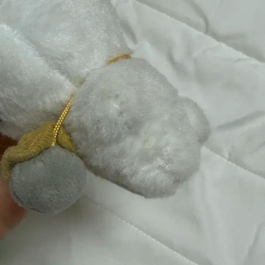 [BUNJANG] SEVENTEEN Jeonghan Jjongmochi Plush Doll / 세븐틴 정한 인형 쫑모찌 윤정한