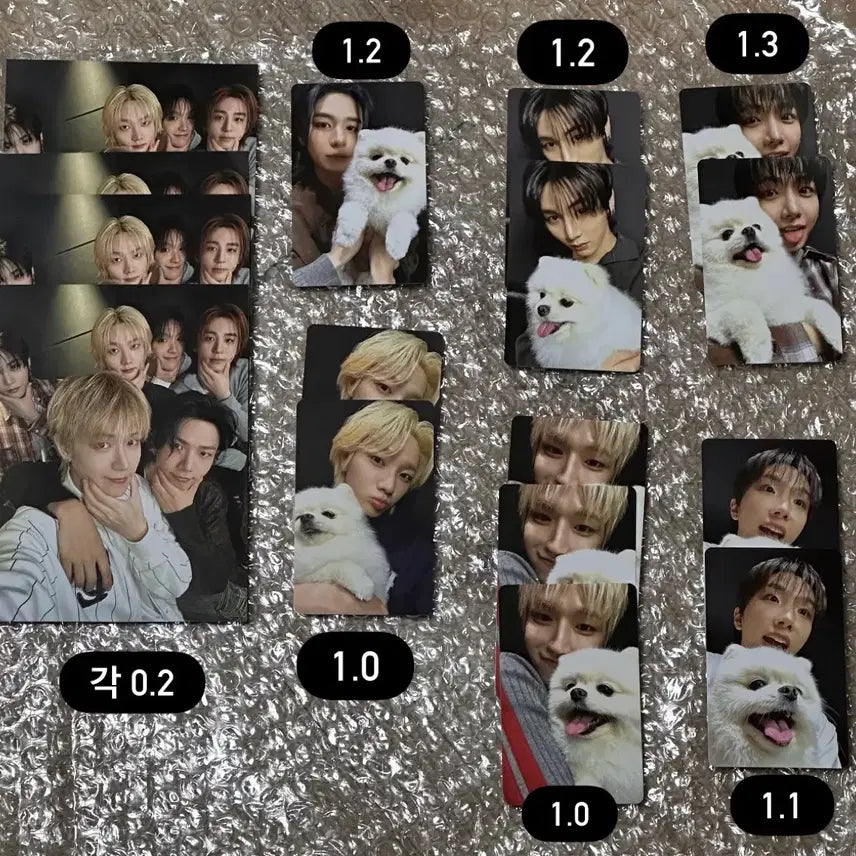 [BUNJANG] BOYNEXTDOOR Weverse POB Photocard / 보이넥스트도어 위버스 특전 포카 양도
