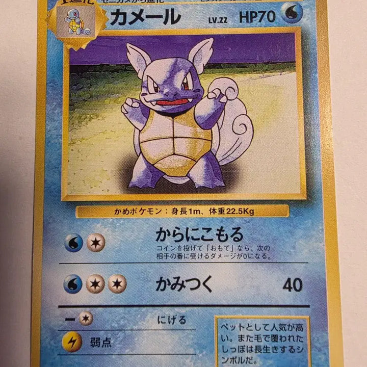[BUNJANG] Pokemon Card 1996 Early Design Wartortle / 포켓몬카드 1996 초기 어니부기