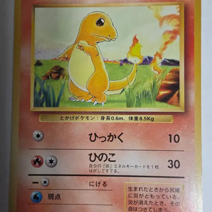 [BUNJANG] Pokemon Card Charmander 1996 First Edition / 포켓몬카드 1996 초기 파이리