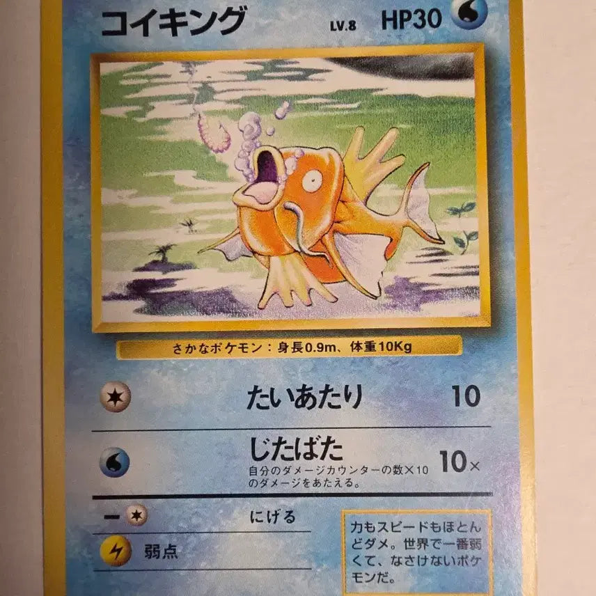 [BUNJANG] Pokemon Card Magikarp 1996 / 포켓몬카드 1996 초기 잉어킹