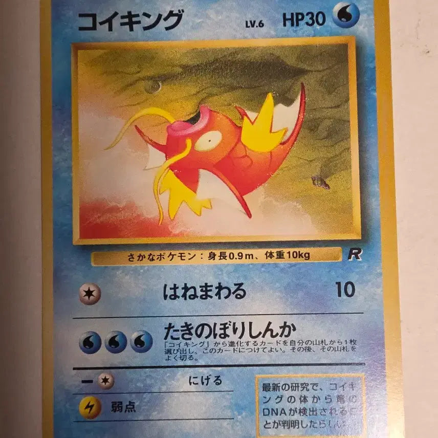 [BUNJANG] Pokemon Magikarp 1996 First Edition Card / 포켓몬카드 1996 초기 잉어킹