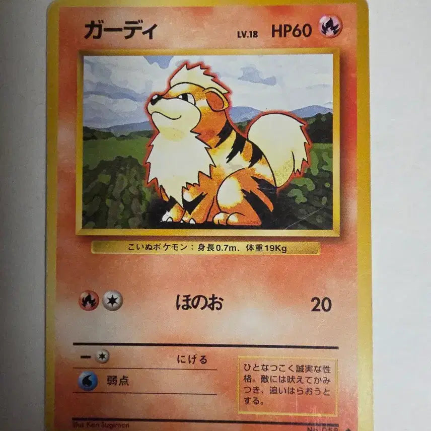 [BUNJANG] Pokemon Card 1996 Vulpix / 포켓몬카드 1996 초기 윈디