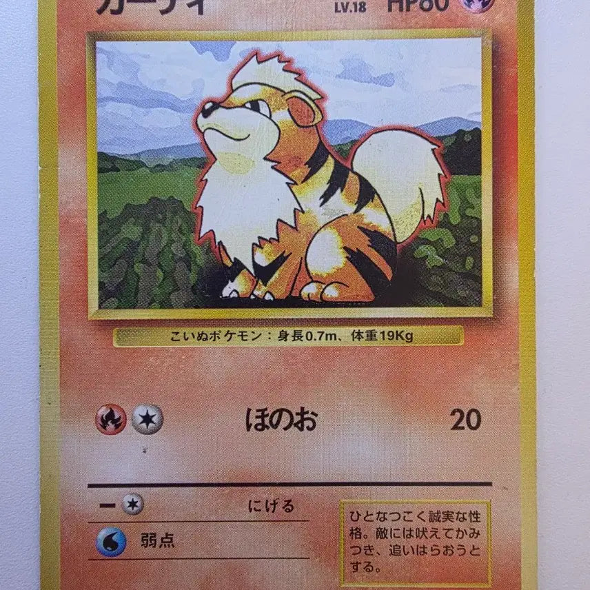 [BUNJANG] Pokemon Card 1996 Vulpix / 포켓몬카드 1996 초기 윈디