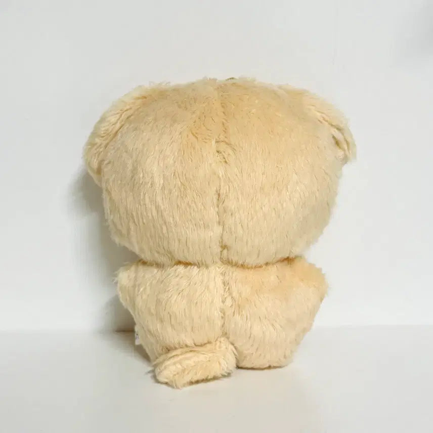 [BUNJANG] Garbage Time GABTA Unofficial 10cm Plush Doll Ki Sang-ho / 가비지타임 갑타 비공식 솜인형 솜솜타임 기상호 10cm