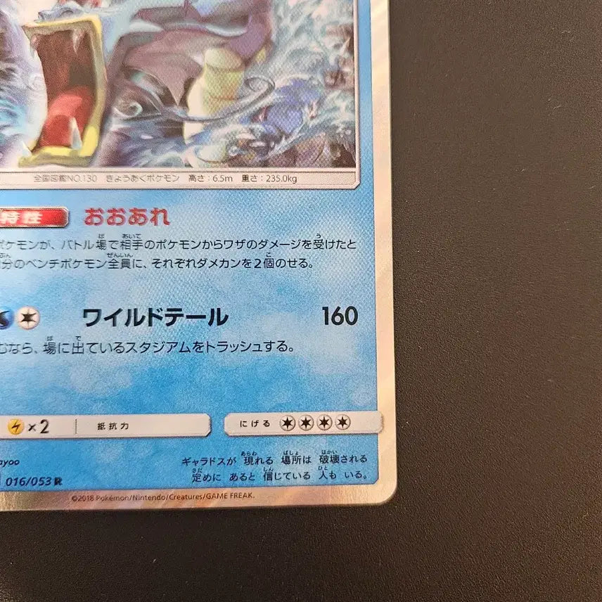 [BUNJANG] Gyarados 016/052 (sm6a) Holo Pokemon Card / [일판/홀로] 갸라도스 016/052 (sm6a) 포켓몬카드
