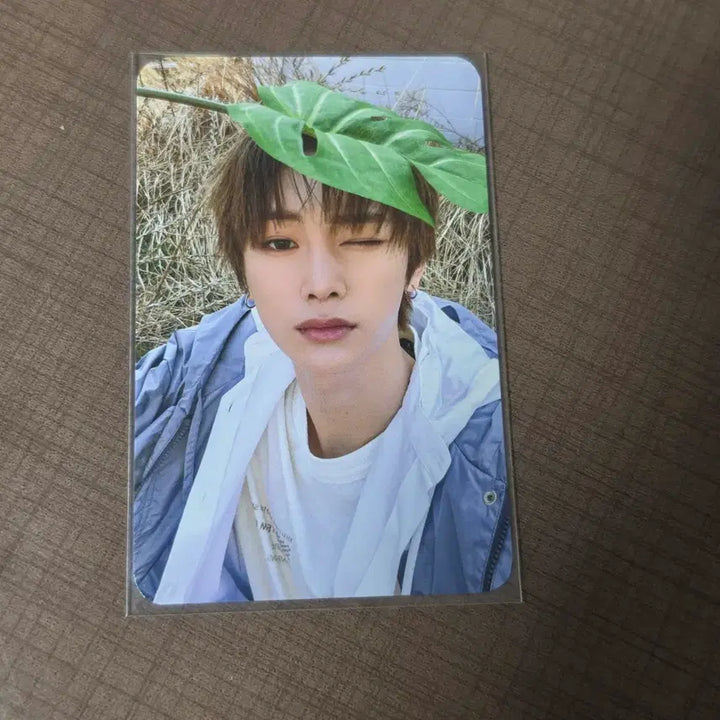 [BUNJANG] Alpha Drive One (ALD1) Anshin Official Photocard (2nd Week) / 알파드라이브원 안신 공방 포카 2주차 ald1 알디원