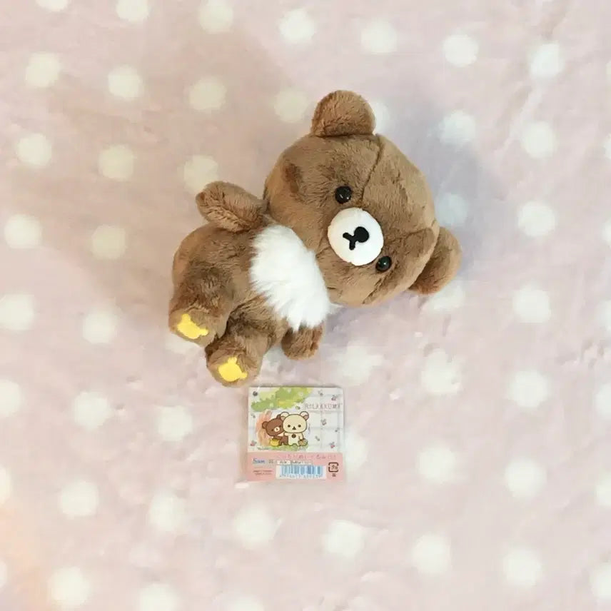 [BUNJANG] Koguma Plush Doll Size S / 코구마 인형 누이구루미 S사이즈