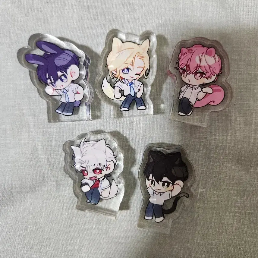 [BUNJANG] PLAVE Korotto Bundle Set / 플레이브 코롯토