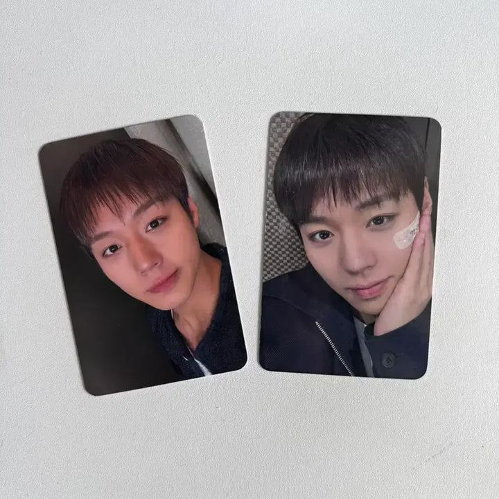 [BUNJANG] Park Ji Hoon Japan Fancon VIP Photocard / 박지훈 일본팬콘 vip 포토카드