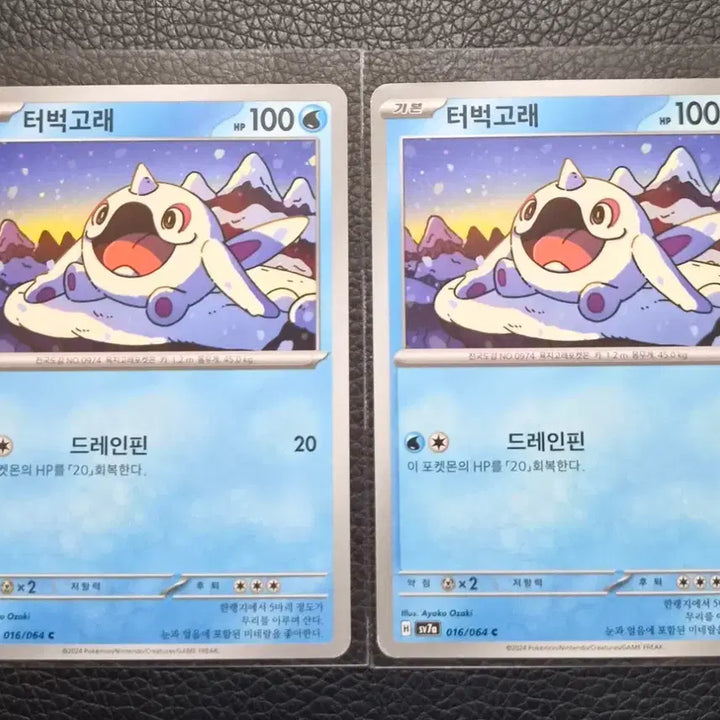 [BUNJANG] Pokemon Card Wailord 016/064 C Bundle Set / 포켓몬 카드 터벅고래 016/064 C 일괄