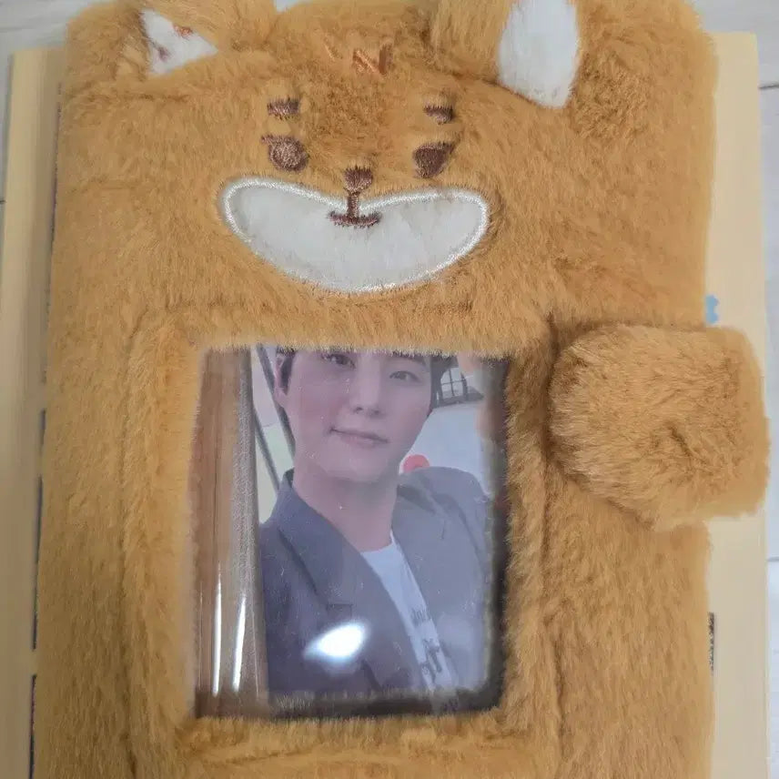 [BUNJANG] DAY6 Petite Merls K Collect Book / 데이식스 쁘띠멀즈 케 콜렉트북