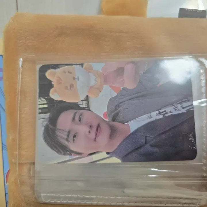 [BUNJANG] DAY6 Petite Merls K Collect Book / 데이식스 쁘띠멀즈 케 콜렉트북