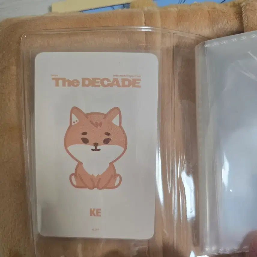 [BUNJANG] DAY6 Petite Merls K Collect Book / 데이식스 쁘띠멀즈 케 콜렉트북