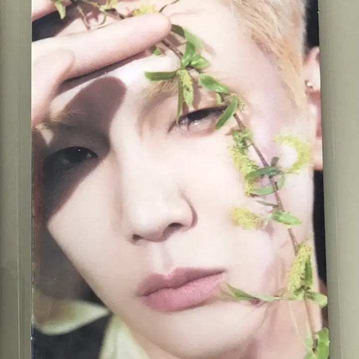 [BUNJANG] SHINee Key Hottracks Kyobo POB Photocard 4x6 Photo / 샤이니 핫트랙스 교보 특전 &amp; 4x6 기범 key 포토