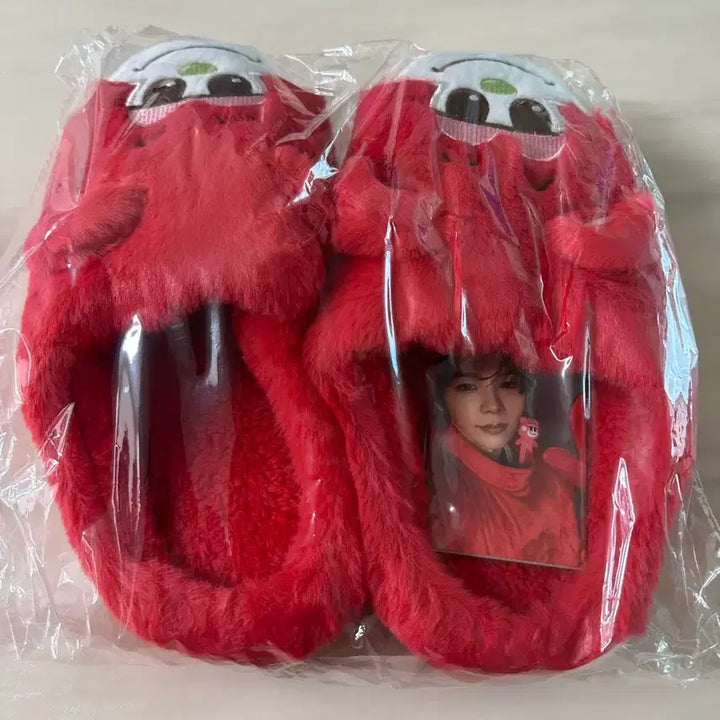 [BUNJANG] Shotaro Photocard Room Shoes Set / 쇼타로 포카 룸슈즈세트