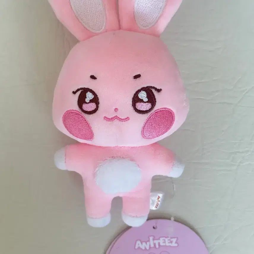[BUNJANG] Anetiz Ddongbyulie Plush Keychain / 애니티즈 떵별이 인형키링
