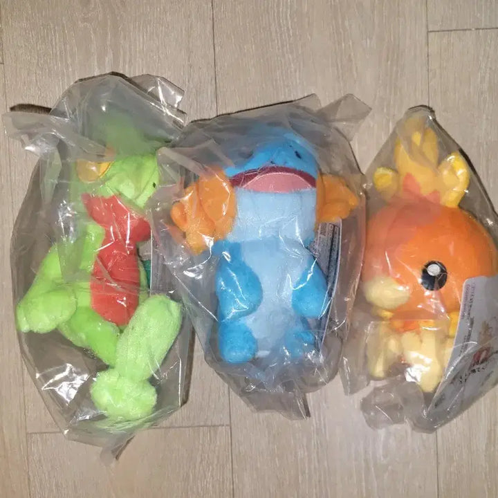 [BUNJANG] Pokemon 30th Anniversary Ichiban Kuji Prize E Hoenn Starters Partner Plush Set (3 Types) / 포켓몬 30주년 제일복권 E상 호연지방 스타팅 파트너 인형 3종 세트