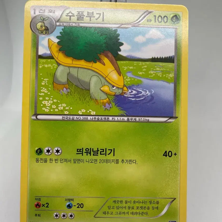 [BUNJANG] 2013 Groudon BW Vintage Pokémon Card / 2013년 수풀부기 bw 고전카드 빈티지카드 포켓몬카드