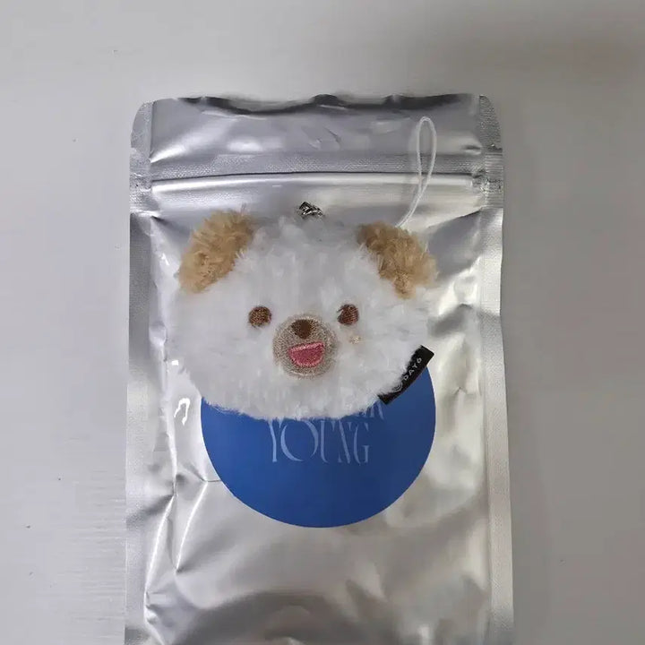 [BUNJANG] Day6 Secret Face Keyring Ddool Money / 데이식스 시크릿 페이스 키링 쁘멀 돈