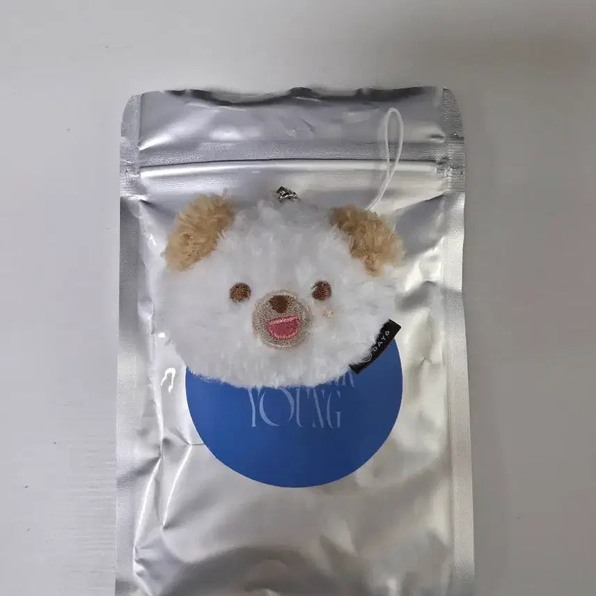 [BUNJANG] Day6 Secret Face Keyring Ddool Money / 데이식스 시크릿 페이스 키링 쁘멀 돈
