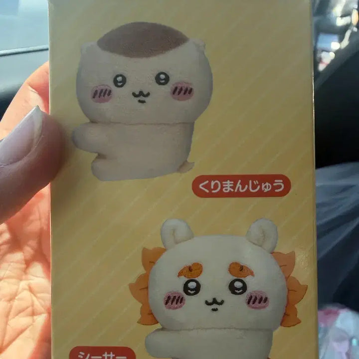 [BUNJANG] Cheekawaii Clip Character Doll / 치이카와 클립