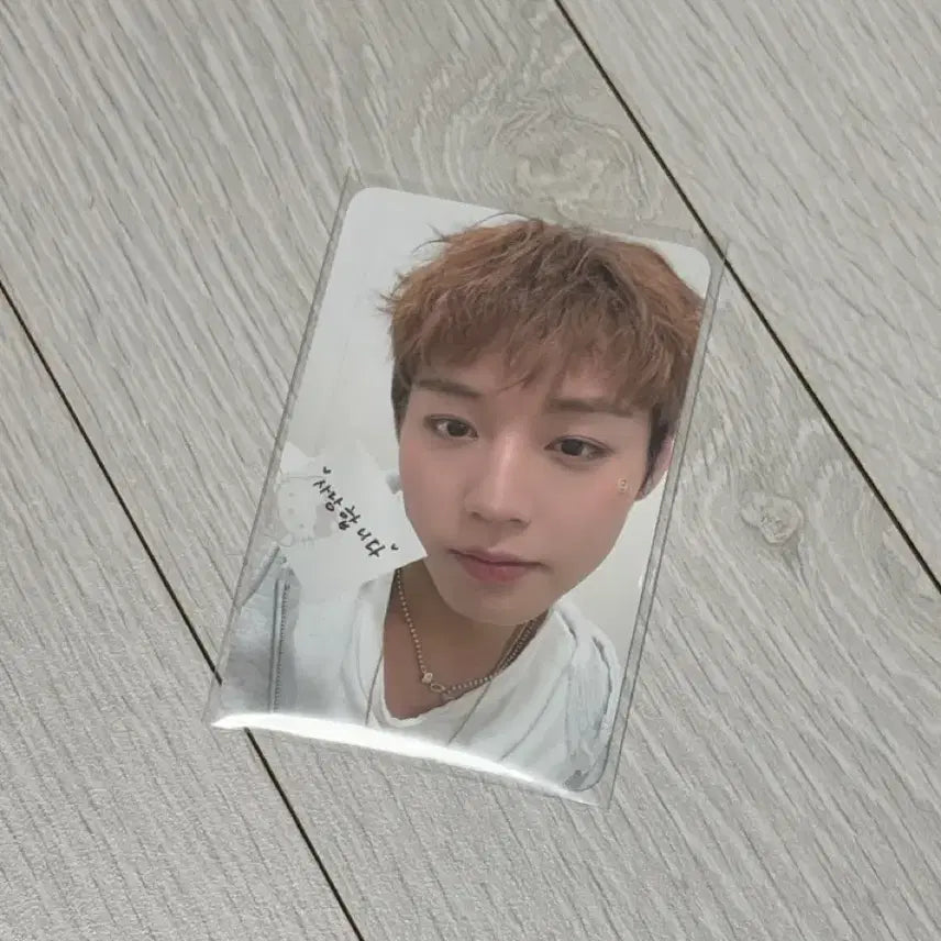 [BUNJANG] Park Ji Hoon Fancon MD POB Photocard / 박지훈 팬콘 MD특전포카