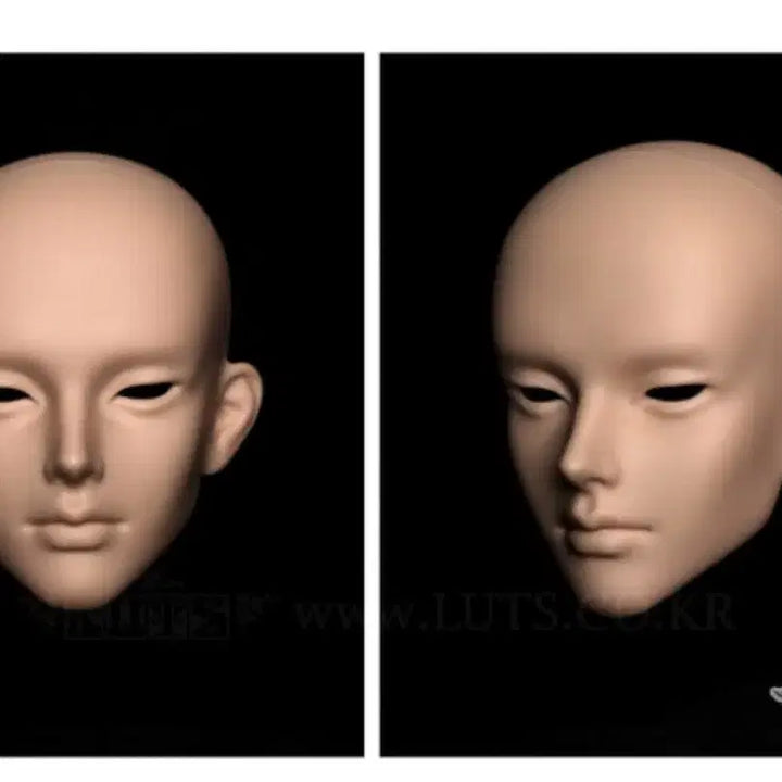 [BUNJANG] Roots Callisto Head / 루츠 칼리스토 미백